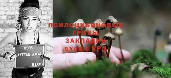 mdpv Бугульма