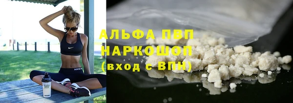 стаф Богородск