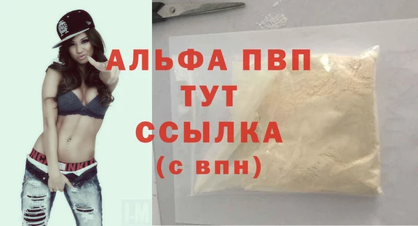 стаф Богородск