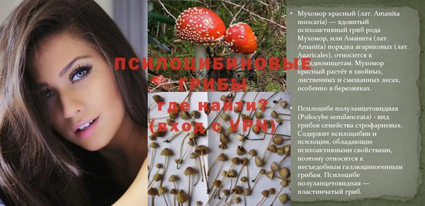 mix Бородино