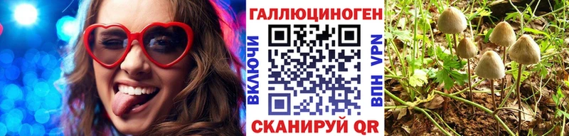 Галлюциногенные грибы прущие грибы  Купить закладки  Куртамыш 
